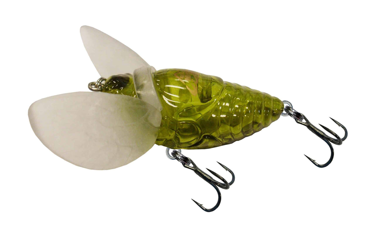 Warlock Moth Cicada Surface Walker Lure