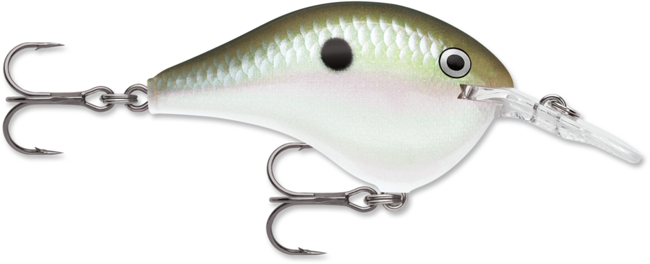Rapala DT Dives To 4 Hard Body Lure
