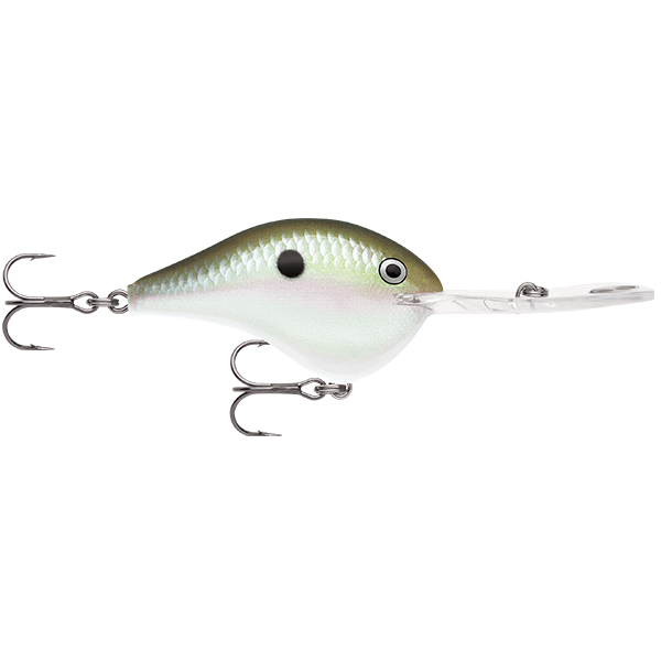 Rapala DT 20 Dives To 20 Foot Crankbait Hard Body Lure