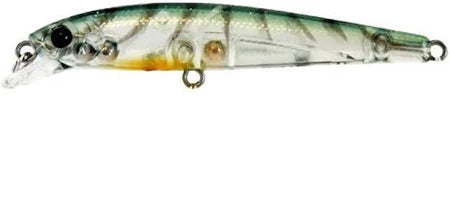 Lucky Craft Flash Minnow Hard Body Lure 65TR