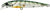 Lucky Craft Flash Minnow Hard Body Lure 65TR