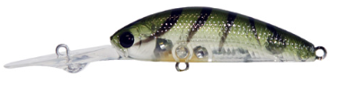 Lucky Craft Chinu Shad Hard Body Lure 55ST