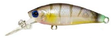 Lucky Craft Bevy Shad Tango Hard Body Lure 45SP