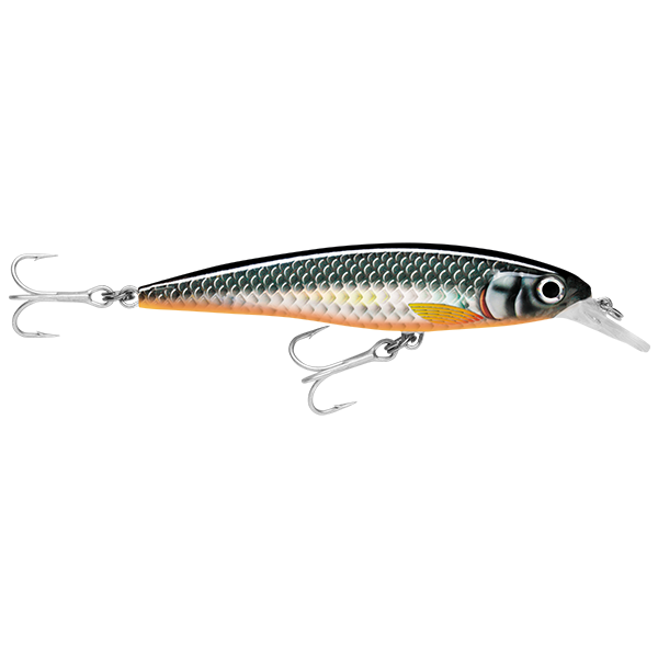 Rapala Saltwater X Rap 12 Hard Body Lure SXR12