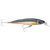 Rapala Saltwater X Rap 12 Hard Body Lure SXR12