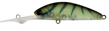 Lucky Craft Chinu Shad Hard Body Lure 55ST