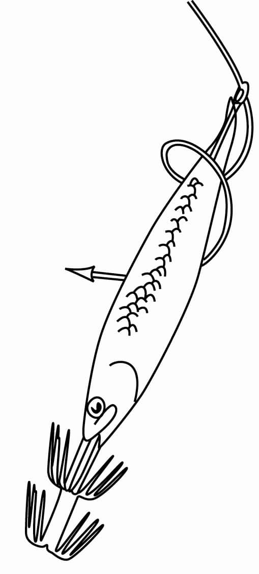 Gillies Metal Squid Jig Shaft