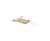 ZMan PrawnZ Elite Soft Plastic Lure Two Pack 2.5in