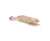 ZMan PrawnZ Elite Soft Plastic Lure Unrigged 5in
