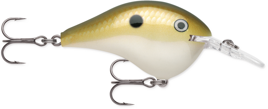 Rapala DT Dives To 4 Hard Body Lure