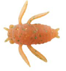 Tiemco Panic Cicada Tiny Soft Plastic Lure