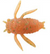 Tiemco Panic Cicada Tiny Soft Plastic Lure