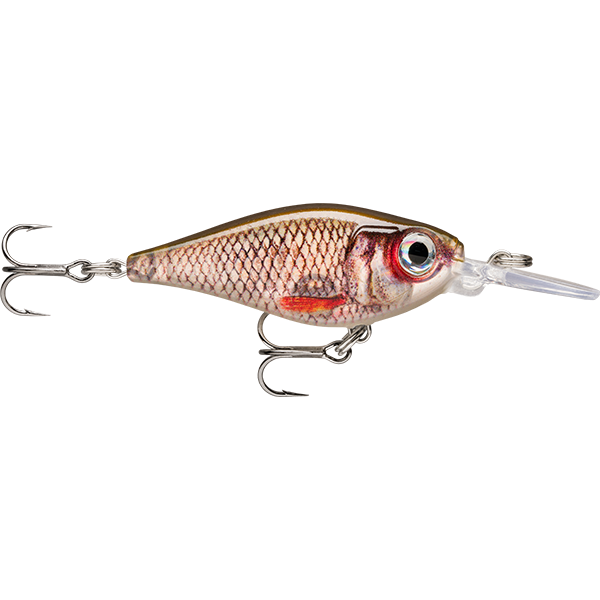 Rapala X-Light Shad Hard Body Lure 04