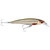 Rapala Saltwater X Rap 12 Hard Body Lure SXR12
