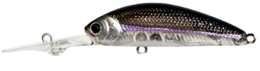 Lucky Craft Chinu Shad Hard Body Lure 55ST