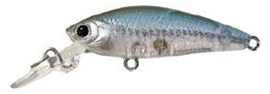 Lucky Craft Bevy Shad Tango Hard Body Lure 45SP
