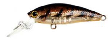 Lucky Craft Bevy Shad Tango Hard Body Lure 45SP