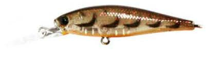 Lucky Craft Pointer Hard Body Lure 48DD