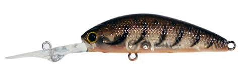Lucky Craft Chinu Shad Hard Body Lure 55ST