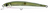 Lucky Craft Flash Minnow Hard Body Lure 65TR