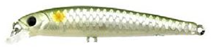 Lucky Craft Flash Minnow Hard Body Lure 65TR