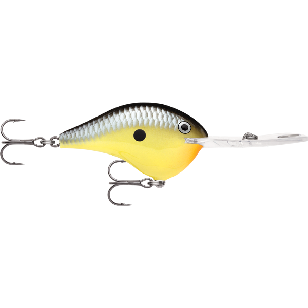 Rapala DT 20 Dives To 20 Foot Crankbait Hard Body Lure