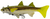 Panic Stations The Mullet Lure 5 inch