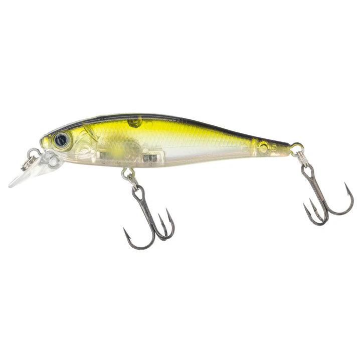 Bite Science H2 Minnow Hard Body Lure 65SP