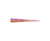 Z-Man Micro WormZ Soft Plastic Lure 2in