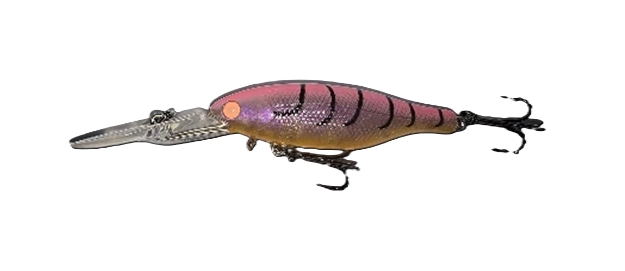 Barambah Boondi Hard Body Lure 82 DSS