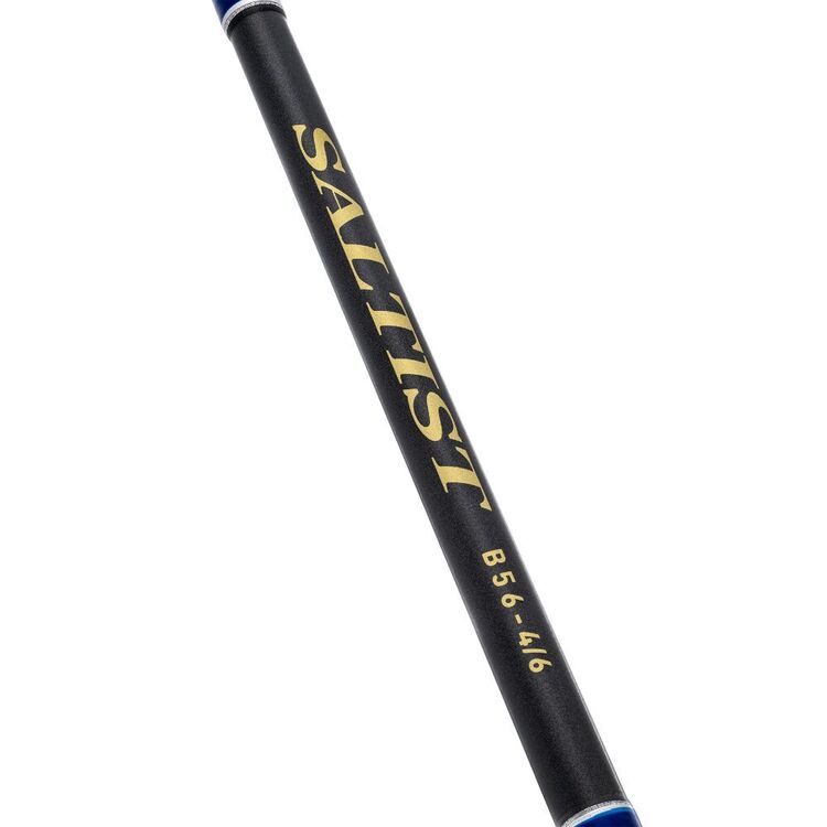 Daiwa 23 Saltist Spin Rod