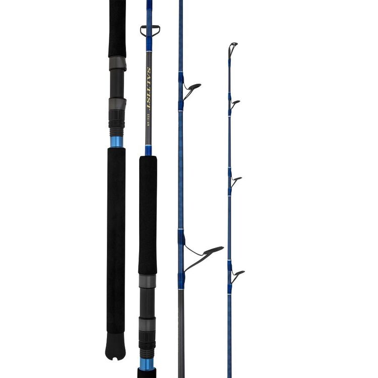 Daiwa 23 Saltist Spin Rod