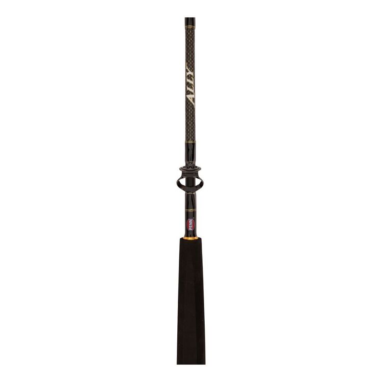 Penn Ally Overhead Rod