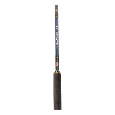 Penn Ocean Assassin II Spin Rod