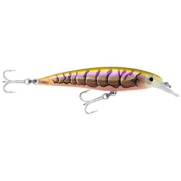 Rapala Saltwater X Rap 12 Hard Body Lure SXR12