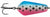 Wingstons Tassie Tasmanian Devil Spoon Lure 25g