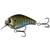 13 Fishing Scamp Hard Body Lure 2.5