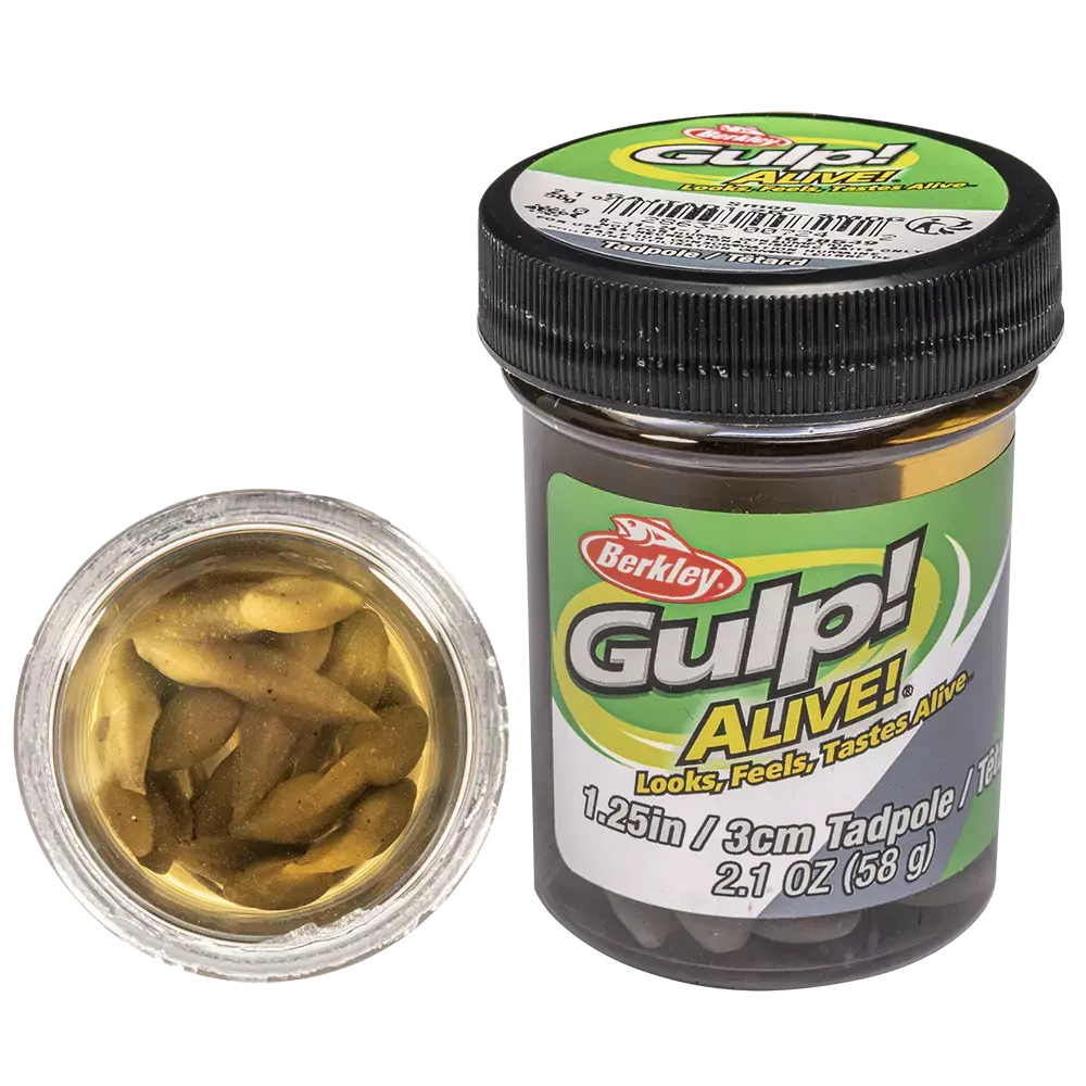 Berkley Gulp Alive Tadpole Trout Bait Smog 1.25 inch