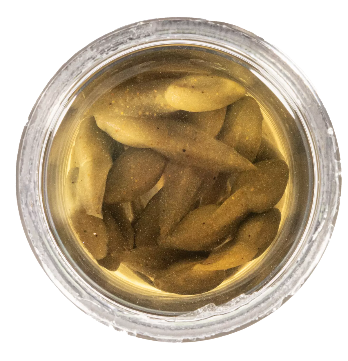 Berkley Gulp Alive Tadpole Trout Bait Smog 1.25 inch