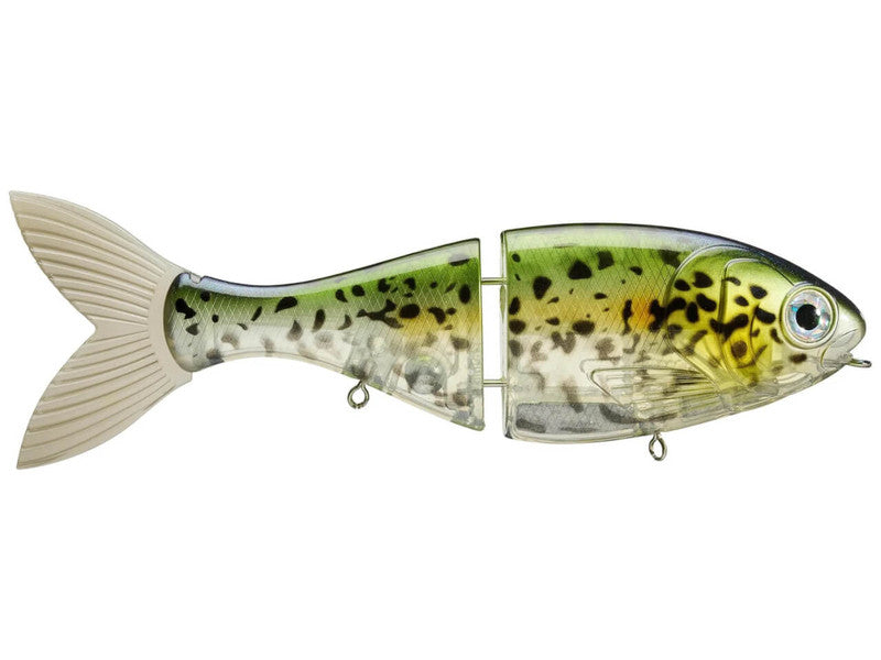 Bucca Trick Shad Swimabit Lure 4in