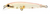 Lucky Craft Flash Minnow Hard Body Lure 65TR