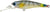 Lucky Craft Bevy Shad Hard Body Lure 60SP