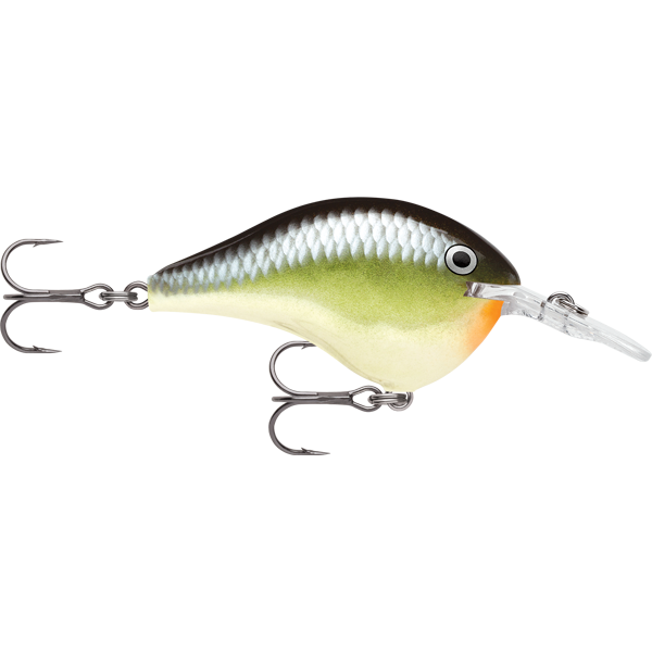 Rapala DT Dives To 12 Hard Body Lure
