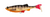 Biwaa Kapsiz Kast HD Rigged Soft Plastic Swimbait Lure 6 Inch