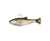 Zman Shadtron LT Soft Plastic Lure 4.5
