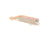 ZMan PrawnZ Elite Soft Plastic Lure Unrigged 3.5in