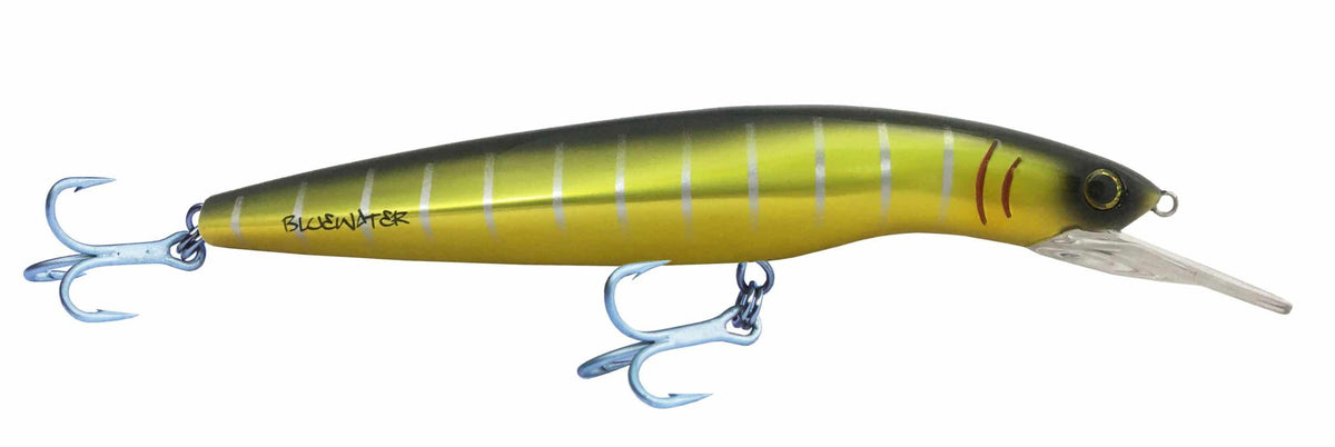 Classic Bluewater Minnow Hard Body Lure 160 +4m