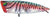 Palms Turn Pop 50 Surface Popper Lure