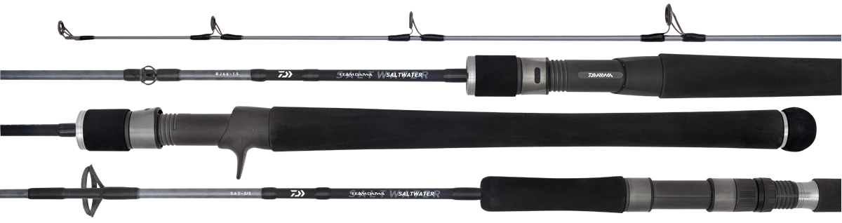 Daiwa 20 TD Saltwater Overhead Rod