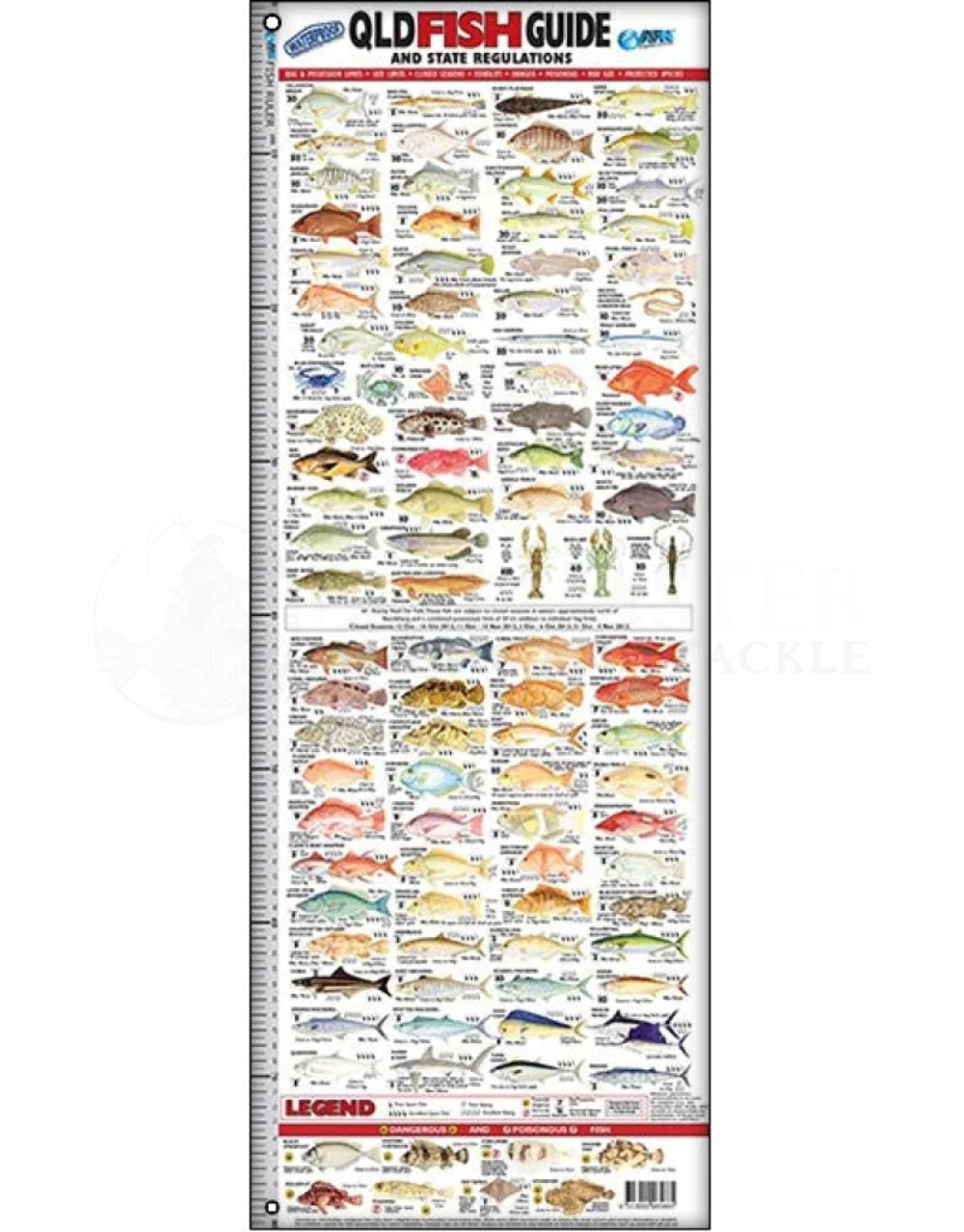 AFN Qld Fish ID Brag Matt Guide Ruler 80cm